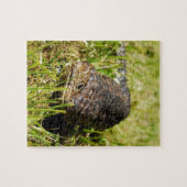 草の中を青い舌のトカゲが這っている ジグソーパズル (横)