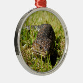 草の中を青い舌のトカゲが這っている メタルオーナメント (右)