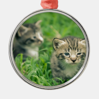 草の中遊に2匹の子猫 メタルオーナメント
