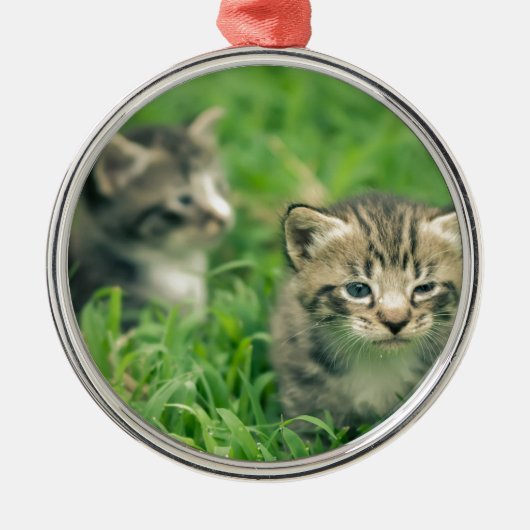 草の中遊に2匹の子猫 メタルオーナメント (正面)