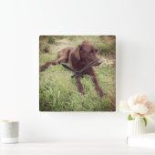 草の写真に横たわるチョコレートラボ スクエア壁時計 (ホーム)