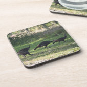 草の写真の野生の七面鳥 コースター (左側)