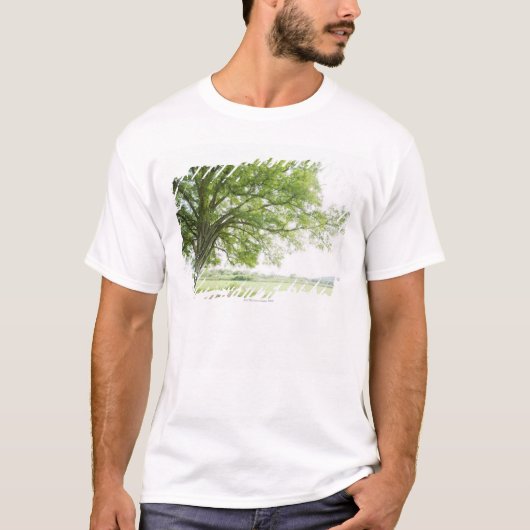 草の分野の木 Tシャツ (正面)