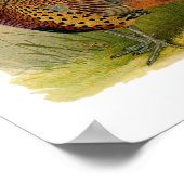 草の原の中のリングや輪の首飾りキジ ポスター (角)