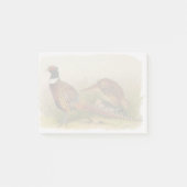 草の原の中のリングや輪の首飾りキジ ポストイット (正面)