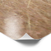 草の多いゼブラ フォトプリント            (角)