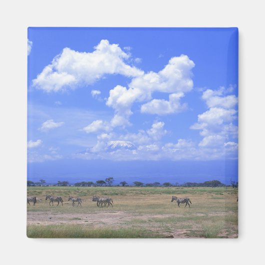 草の多い平野 マグネット (正面)