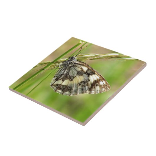 草の大理石模様をつけられた白い蝶 タイル (側面)