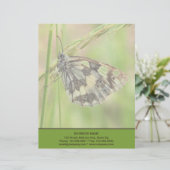 草の大理石模様をつけられた白い蝶 レターヘッド (スタンド正面)