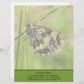 草の大理石模様をつけられた白い蝶 レターヘッド (正面/裏面)