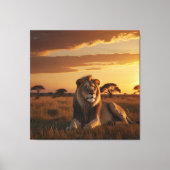 草の威厳のある多いサバンナに横たわる獅子 キャンバスプリント (正面)