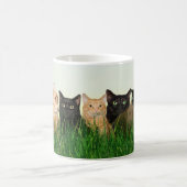 草の子猫猫 コーヒーマグカップ (中央)