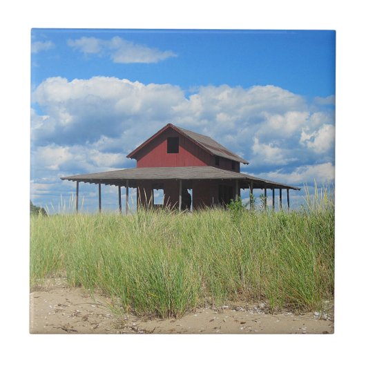 草の島タイル タイル (正面)