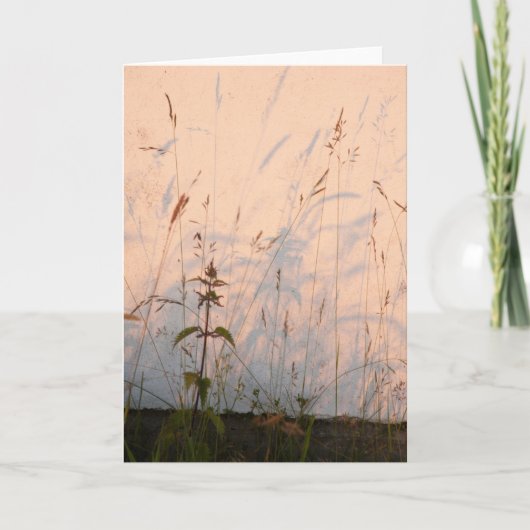 草の影 カード (正面)