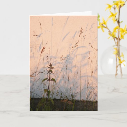 草の影 カード (黄色い花)