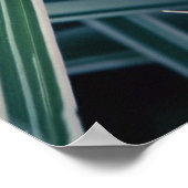 草の忘れ中に青い目ではない花 ポスター (角)