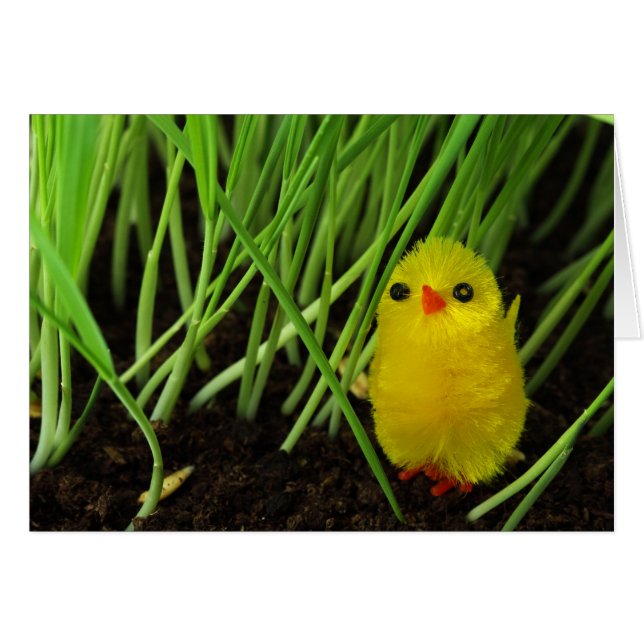 草の房 (正面横)