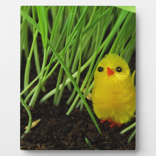 草の房 フォトプラーク (正面)