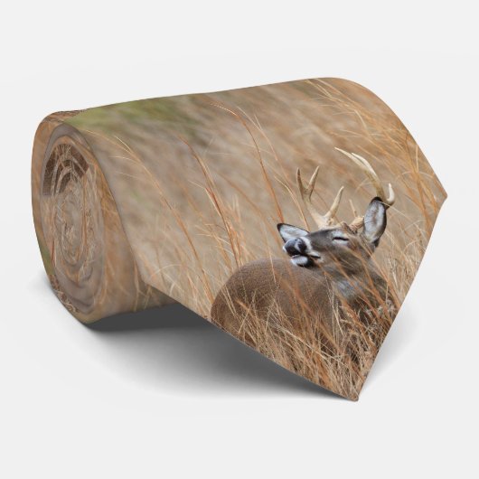 草の木びき台 ネクタイ (ロール)