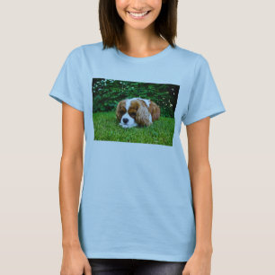 草の無頓着なチャールズ王スパニエル犬Blenheim Tシャツ