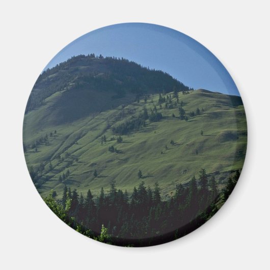 草の生えたカバー マグネット (正面)