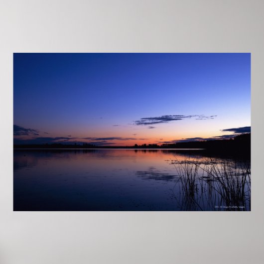 草の生えたワバムン湖の夕日 ポスター (正面)