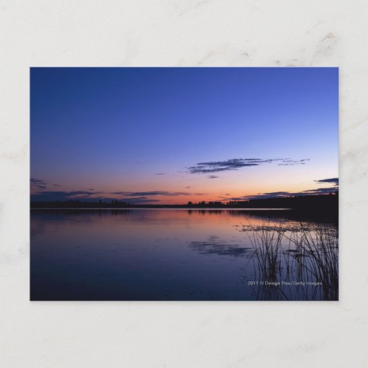 草の生えたワバムン湖の夕日 ポストカード (正面)