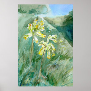草の生えた土手の上のカウスリップPrimula veris ポスター