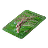 草の生長が柔軟な磁石 マグネット (左側)