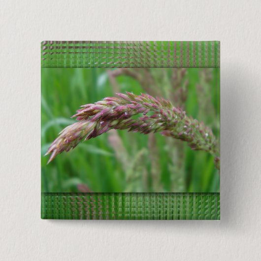 草の生長ボタン 缶バッジ (正面)