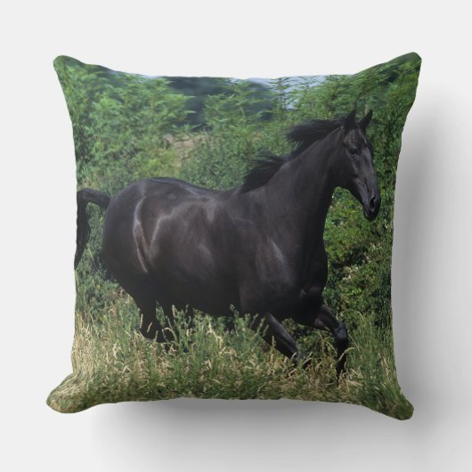 草の純血種の馬のランニング クッション (正面)