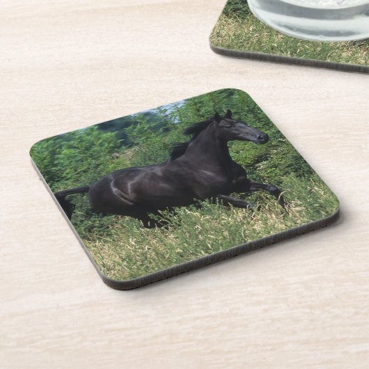 草の純血種の馬のランニング コースター (左側)