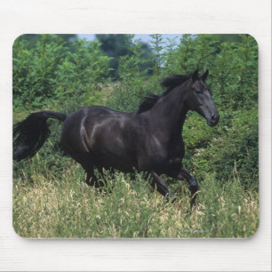 草の純血種の馬のランニング マウスパッド