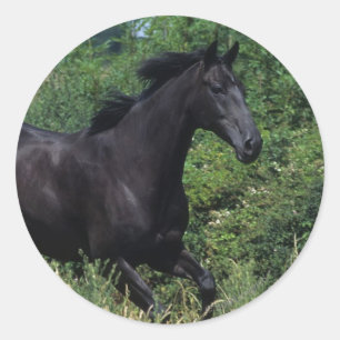 草の純血種の馬のランニング ラウンドシール
