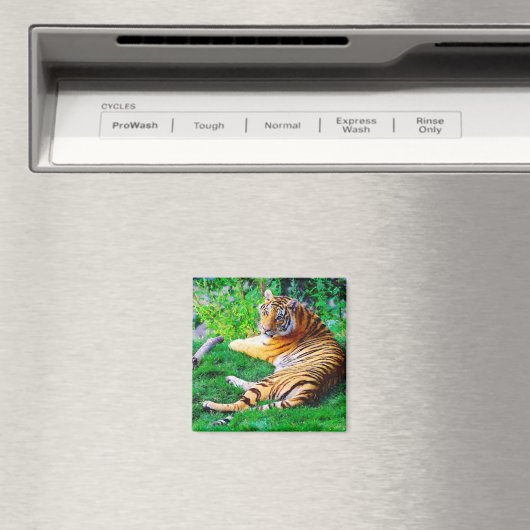 草の絵を描野生動物の中でラウンジング虎 マグネット (インサイチュ (食洗機))