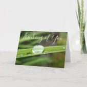 草の考えるカードに浮かぶ雨の雫 カード (正面)