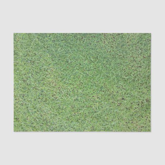 草の芝生を切って下さい 薄葉紙 (正面)