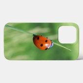 草の葉の上のてんとう虫 Case-Mate iPhoneケース (裏面 (横))