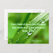 草の葉はがき ポストカード (正面/裏面)