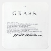 草の葉根根 スクエアシール (正面)