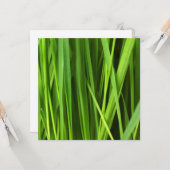 草の葉 カード (正面/裏面インサイチュ)