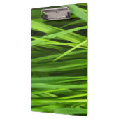 草の葉 クリップボード (左)