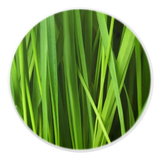 草の葉 セラミックノブ (正面)