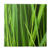 草の葉 タイル (正面)