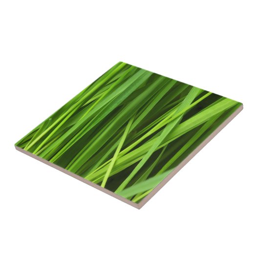 草の葉 タイル (側面)