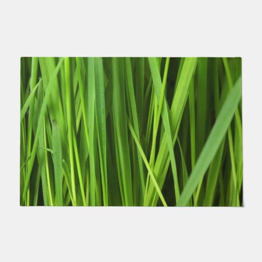 草の葉 ドアマット (正面)