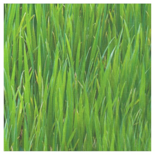 草の葉 ファブリック (クローズアップ)