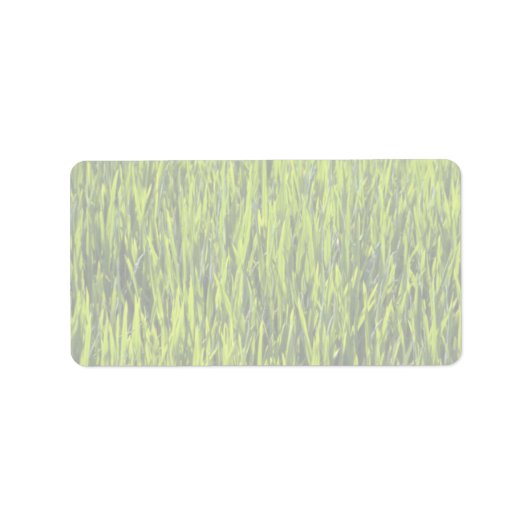 草の葉 ラベル (正面)