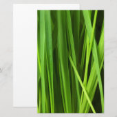 草の葉 便箋 (正面/裏面)