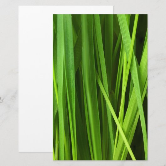 草の葉 便箋 (正面/裏面)